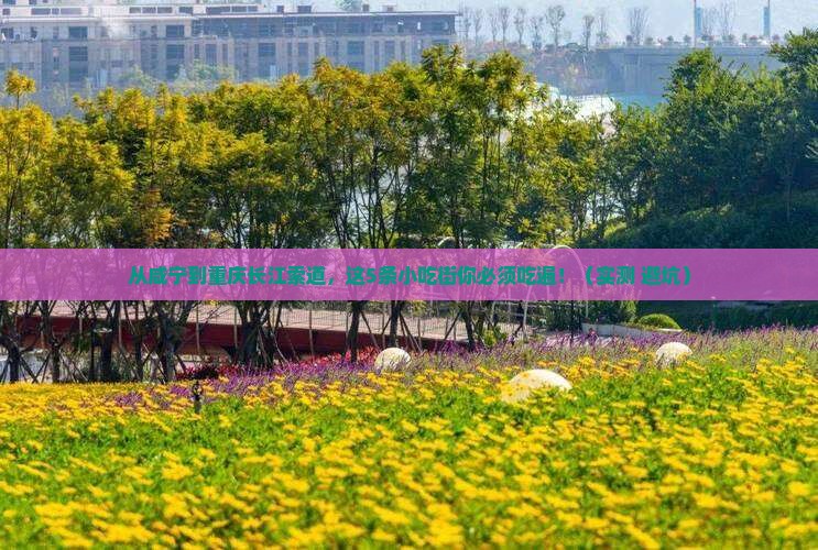 咸宁去重庆长江索道旅游小吃