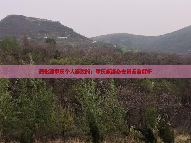 通化到重庆个人游
