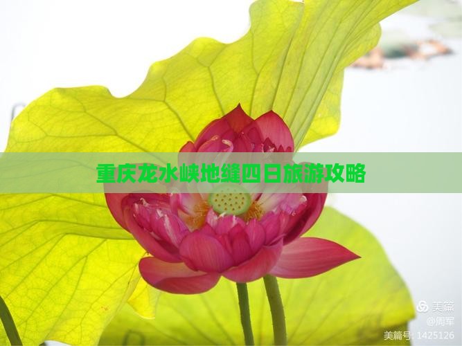 枣庄去重庆龙水峡地缝四日游