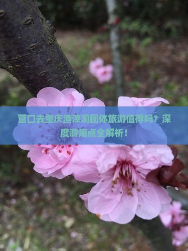 营口去重庆渣滓洞团体旅游
