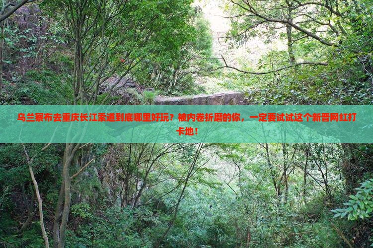 乌兰察布去重庆长江索道哪里玩