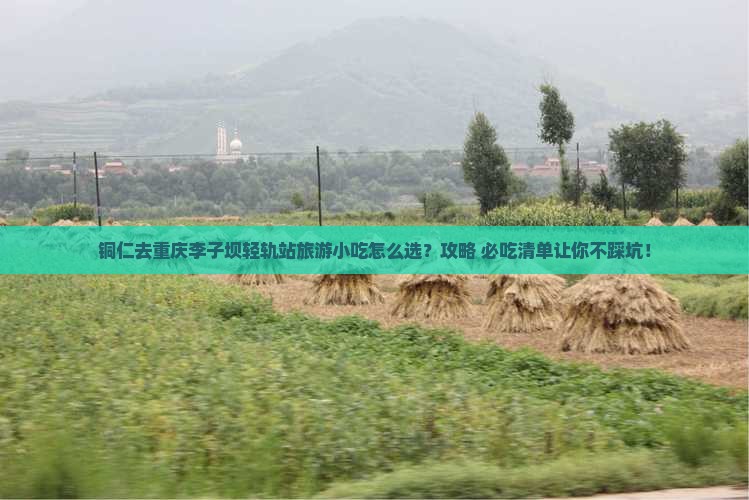 铜仁去重庆李子坝轻轨站旅游小吃