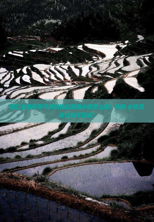 铜仁去重庆李子坝轻轨站旅游小吃