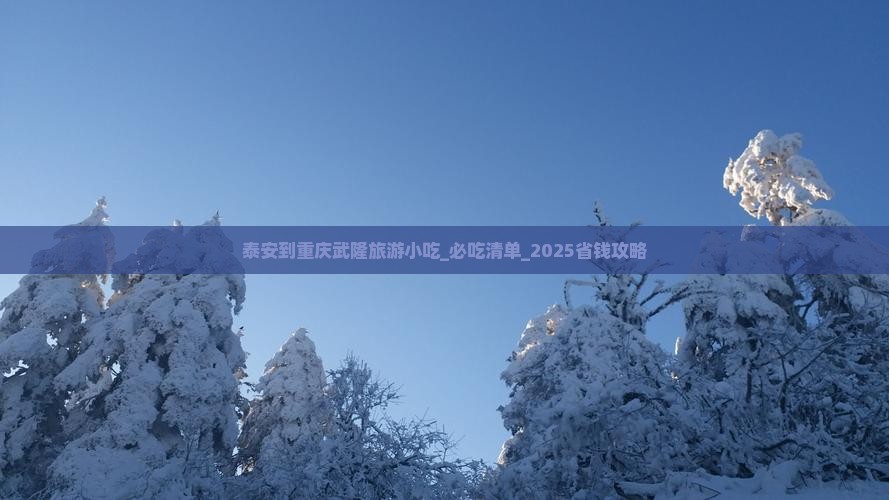 泰安到重庆武隆旅游小吃