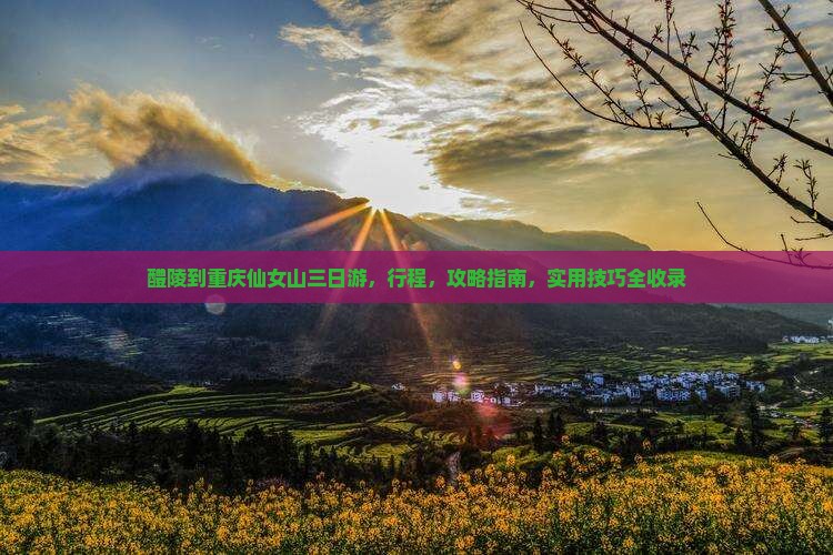 醴陵到重庆仙女山三日游 醴陵到重庆仙女山三日游
