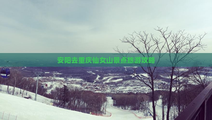 安阳去重庆仙女山景点