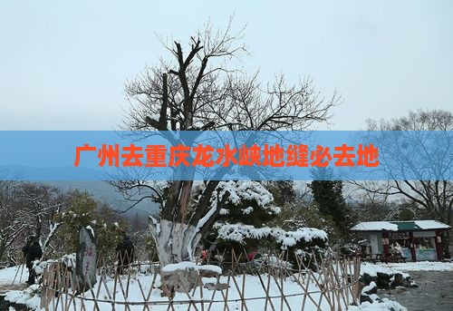 广州去重庆龙水峡地缝必去地