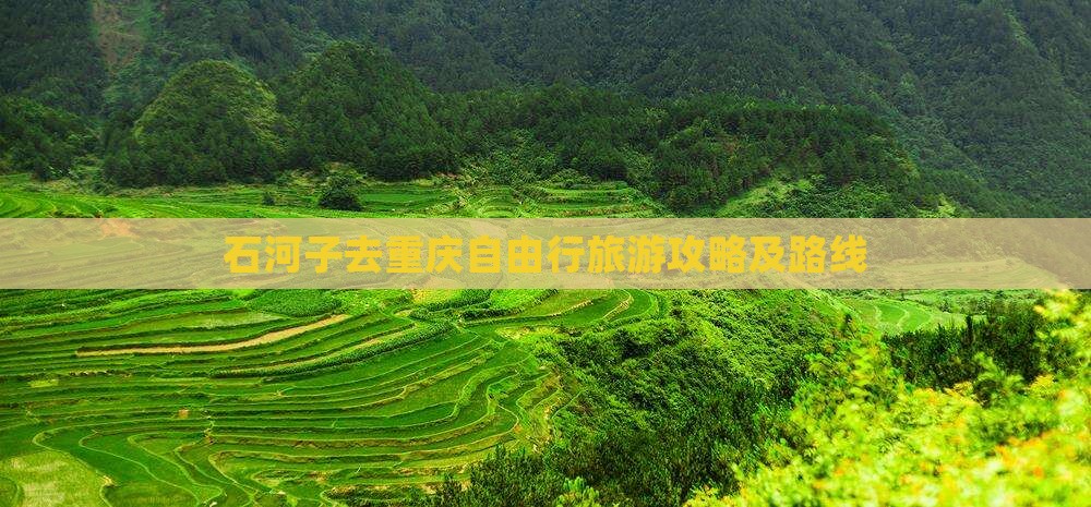石河子去重庆攻略