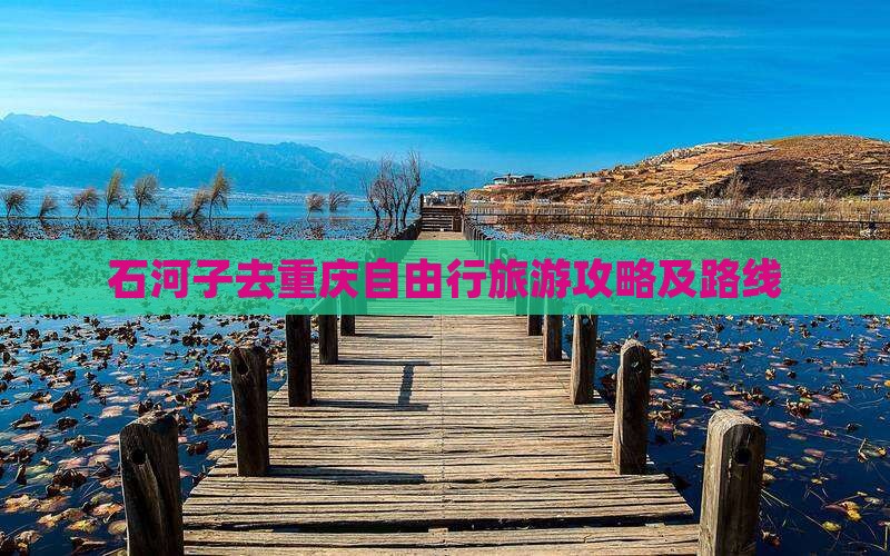石河子去重庆攻略