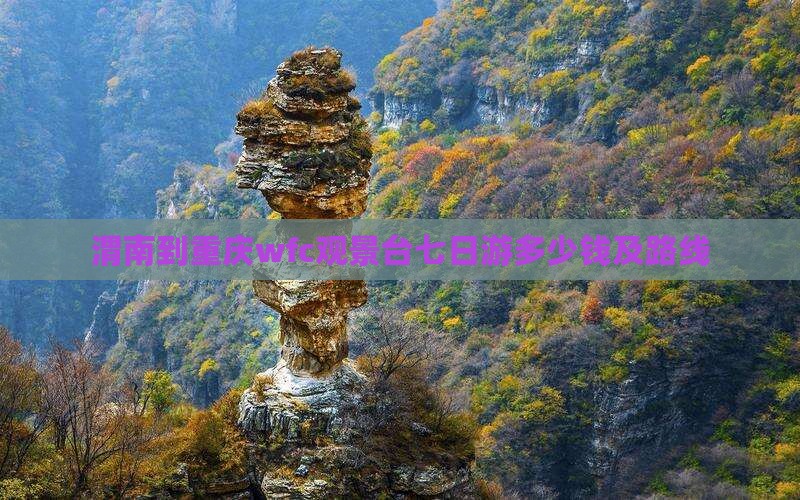 渭南到重庆wfc观景台七日游