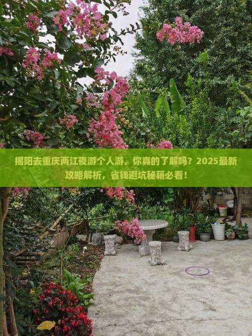 揭阳去重庆两江夜游个人游