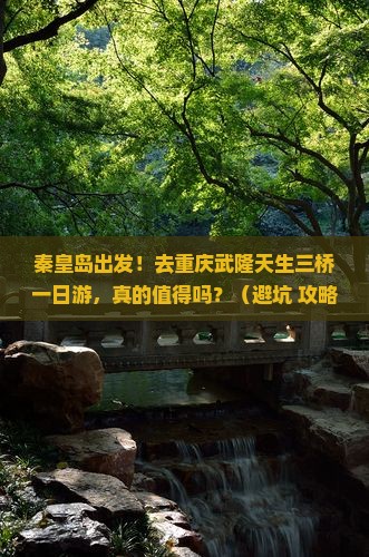 秦皇岛去重庆武隆天生三桥一日