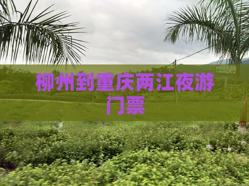 柳州到重庆两江夜游门票