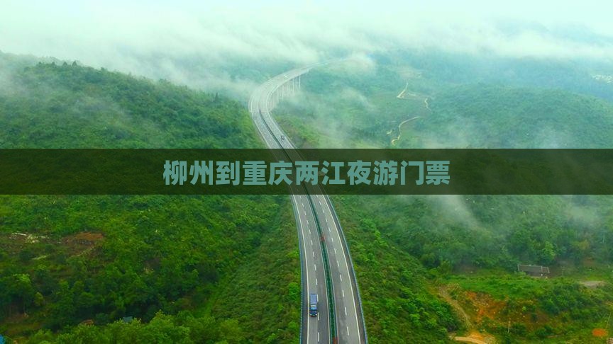 柳州到重庆两江夜游门票