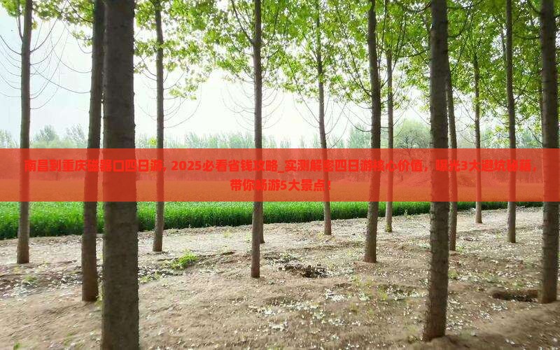 南昌到重庆磁器口四日游
