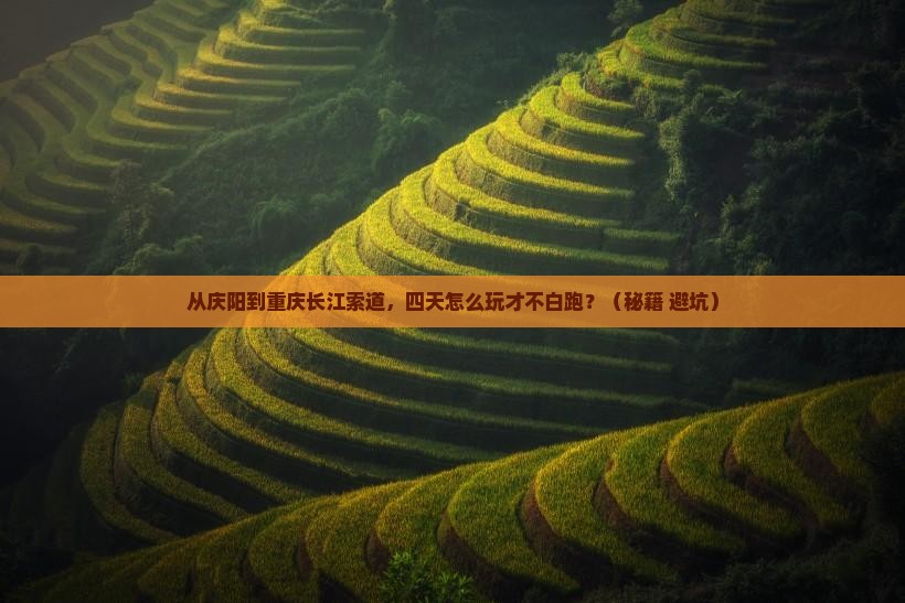 庆阳到重庆长江索道四日游