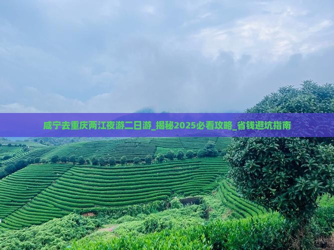 咸宁去重庆两江夜游二日游