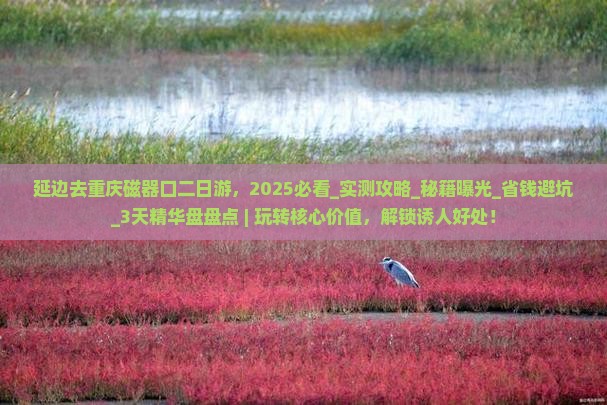 延边去重庆磁器口二日游
