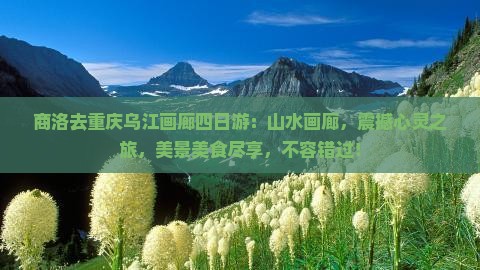 商洛去重庆乌江画廊四日游