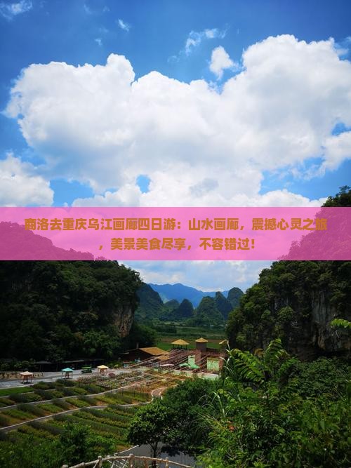 商洛去重庆乌江画廊四日游