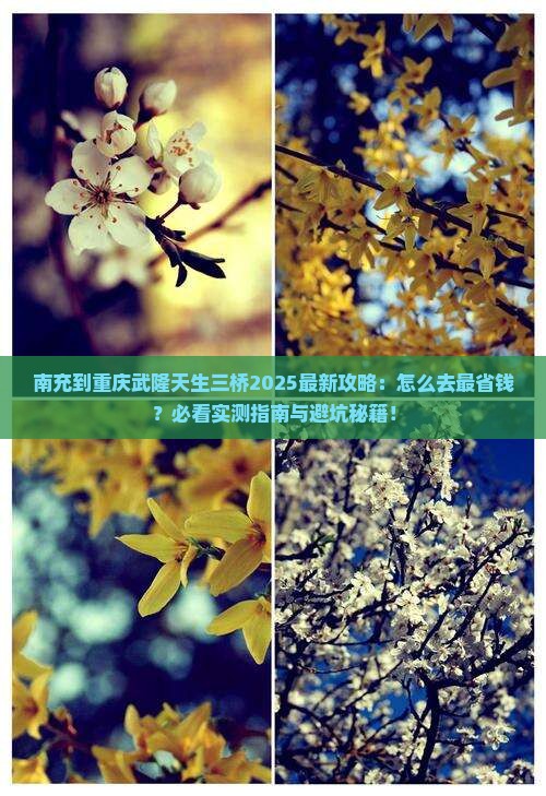 南充到重庆武隆天生三桥攻略