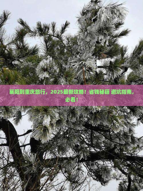 襄阳到重庆旅行社