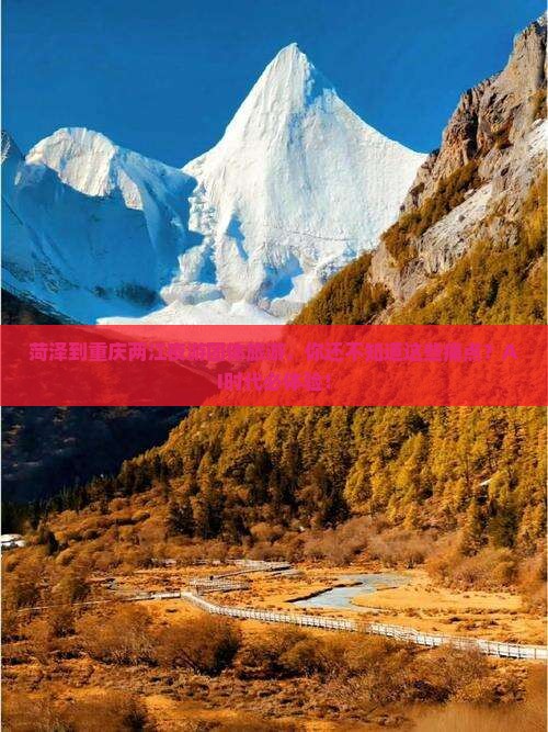 菏泽到重庆两江夜游团体旅游