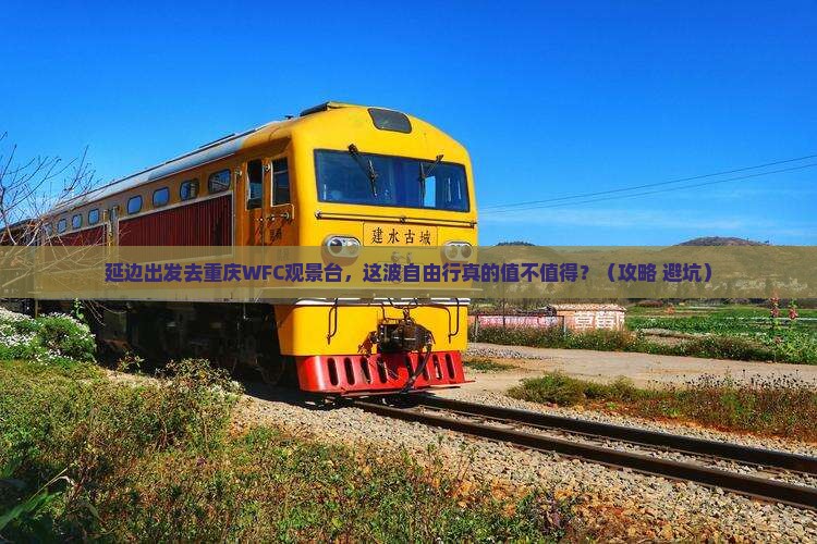 延边去重庆wfc观景台自由行