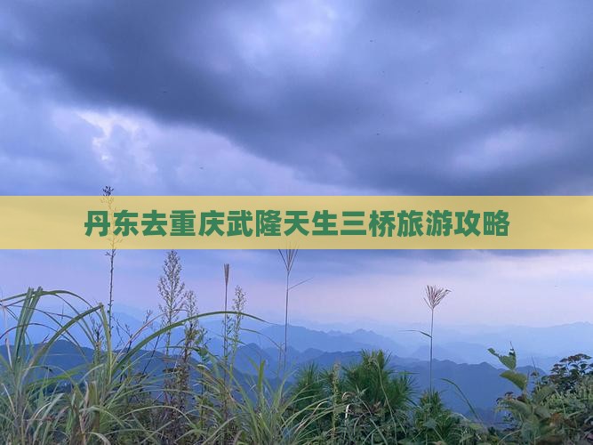 丹东去重庆武隆天生三桥旅行社
