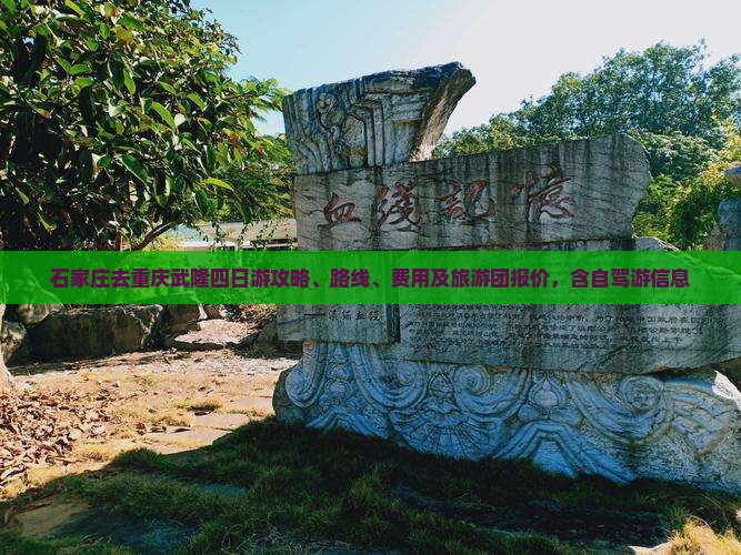 石家庄去重庆武隆四日游