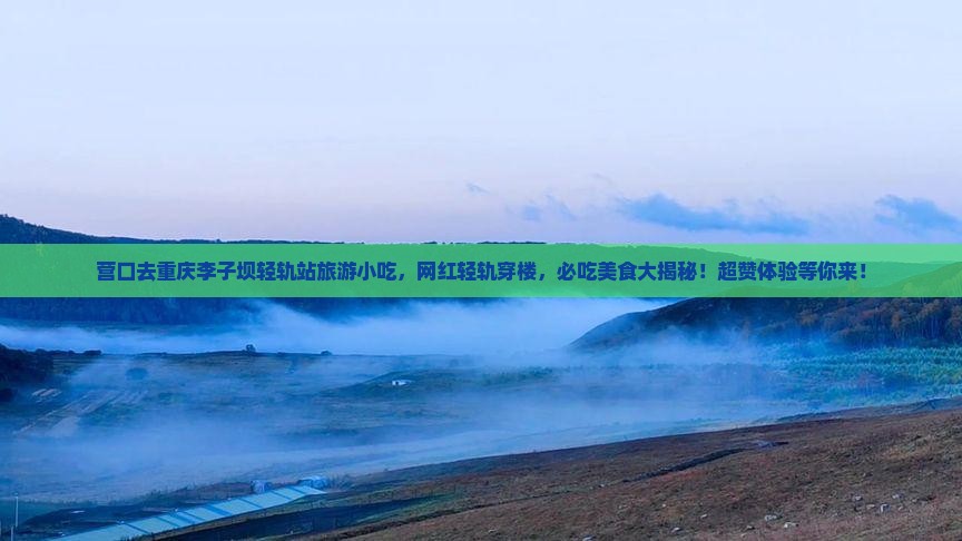 营口去重庆李子坝轻轨站旅游小吃