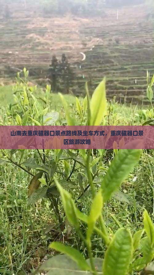 山南去重庆磁器口景点