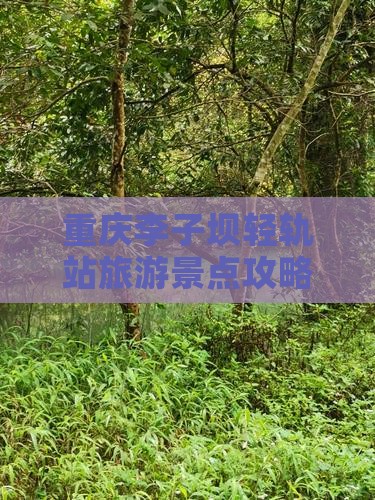 库尔勒去重庆李子坝轻轨站哪里玩