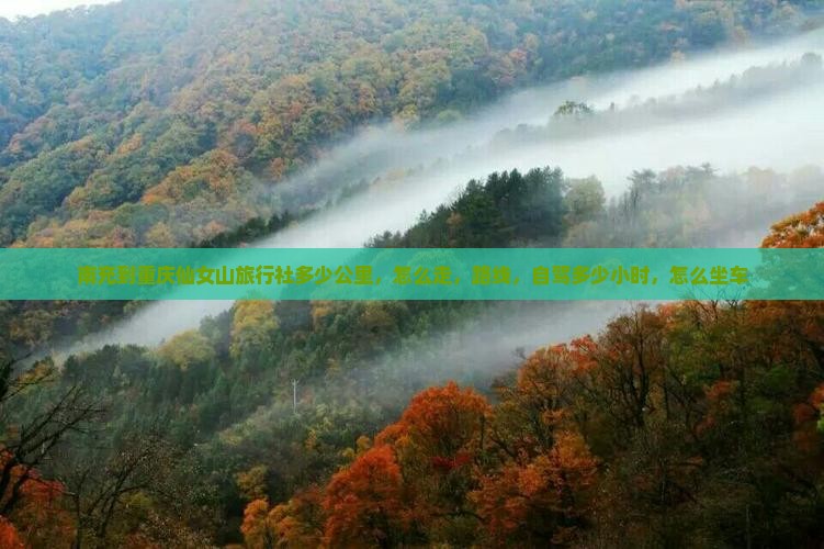 南充到重庆仙女山旅行社