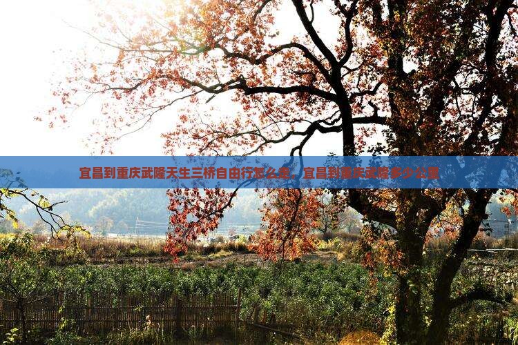 宜昌到重庆武隆天生三桥自由行