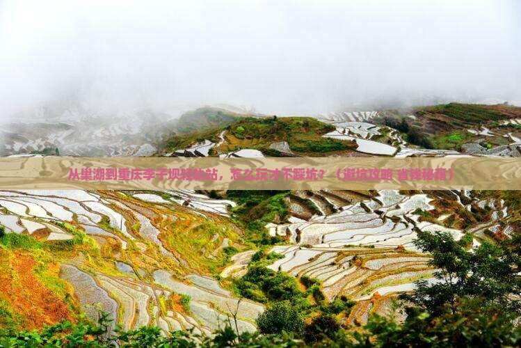 巢湖到重庆李子坝轻轨站景点