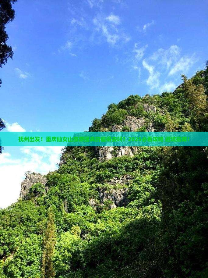 抚州去重庆仙女山大型旅游团