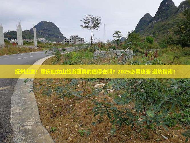 抚州去重庆仙女山大型旅游团