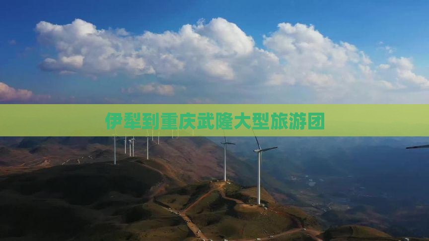 伊犁哈萨克到重庆武隆大型旅游团