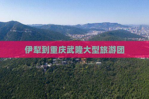 伊犁哈萨克到重庆武隆大型旅游团