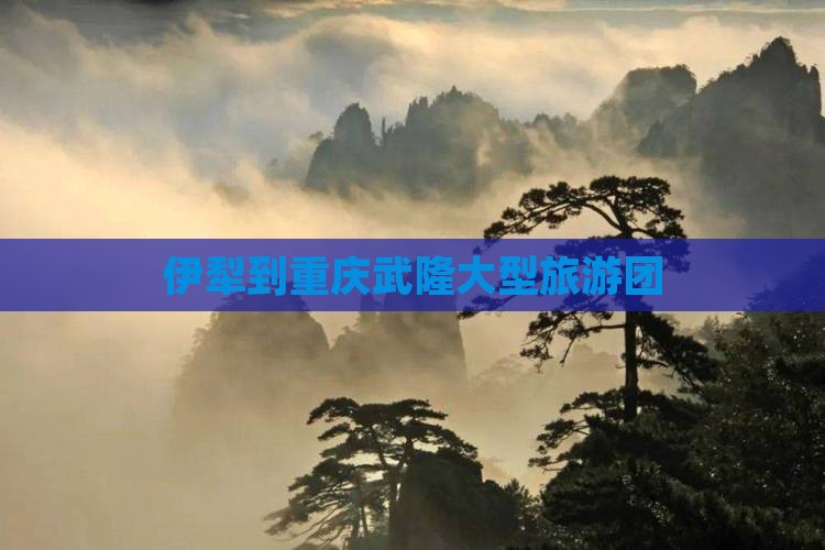 伊犁哈萨克到重庆武隆大型旅游团