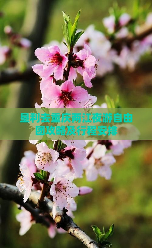 垦利去重庆两江夜游自由团