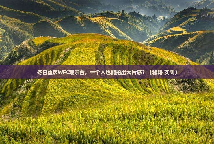 冬天到重庆wfc观景台个人游