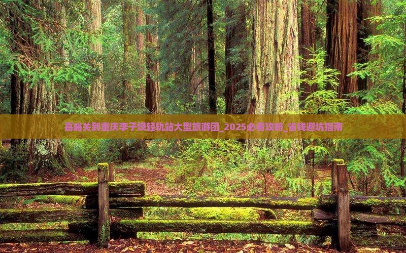嘉峪关到重庆李子坝轻轨站大型旅游团
