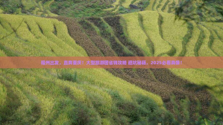 福州去重庆大型旅游团