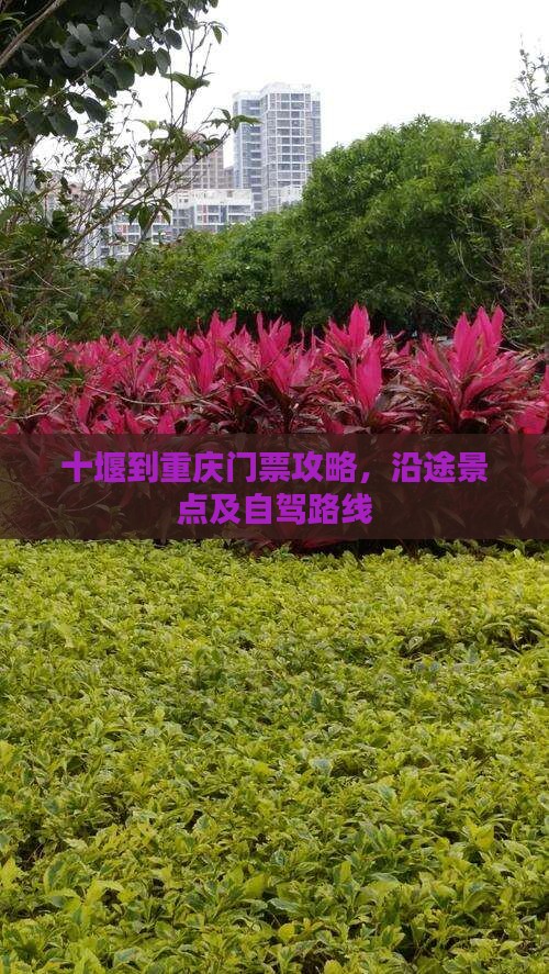 十堰到重庆门票