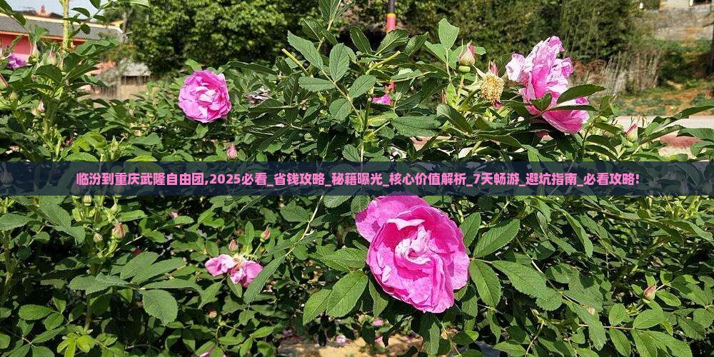 临汾到重庆武隆自由团