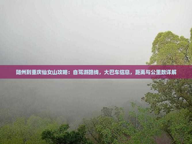 随州到重庆仙女山攻略