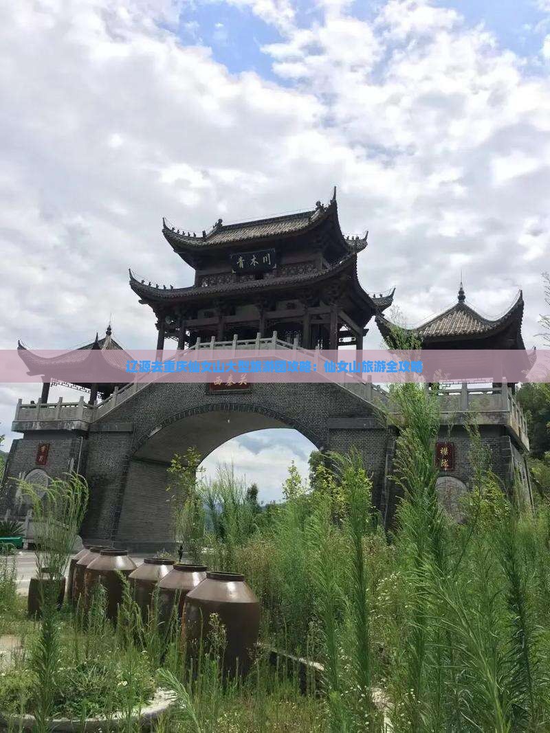 辽源去重庆仙女山大型旅游团