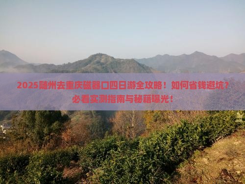 随州去重庆磁器口四日游